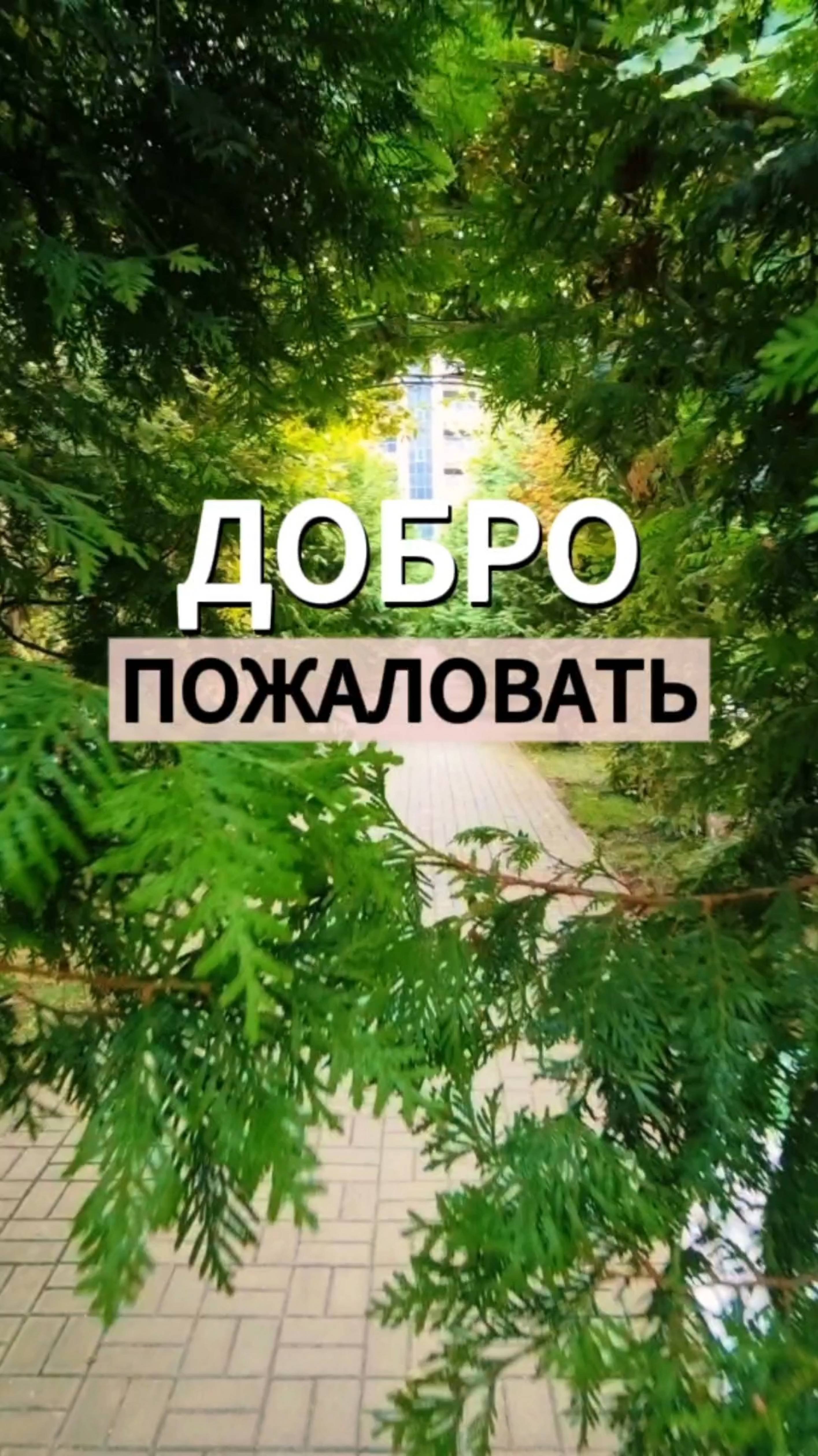 Скрытая дверь