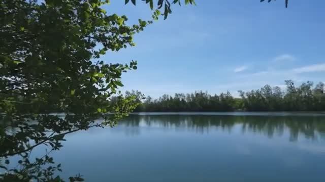 УТКИ.