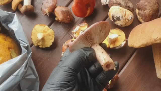 Набрала грибов, почищу, буду готовить.