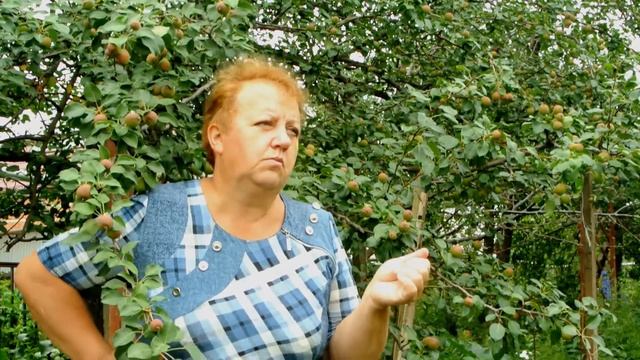 Вырастить культуру из семечек, косточек. Что получим?