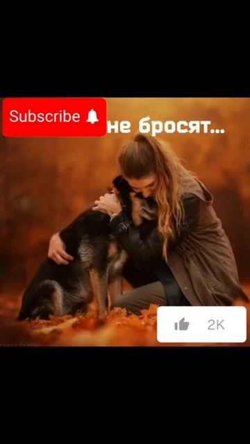 НЕ КИНУТ...