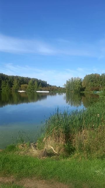 Такая осень🥰 #осень #путешествия