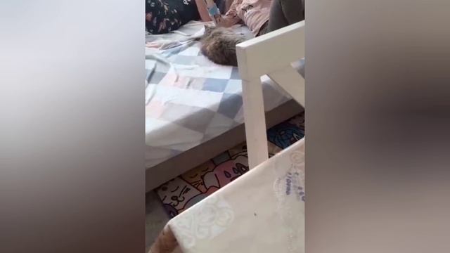 Просто на память