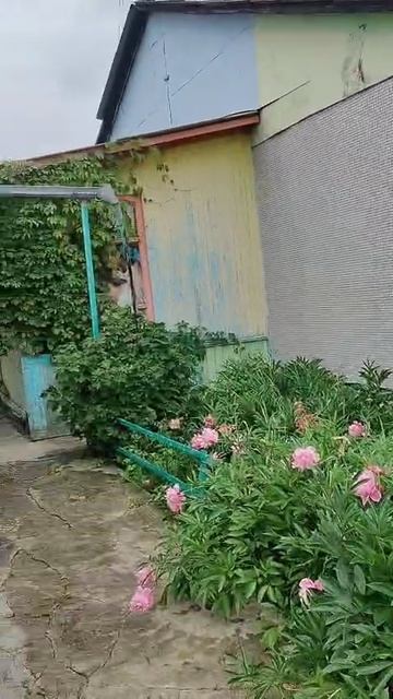 WhatsApp Video 2025-09-10 At 19.36.52