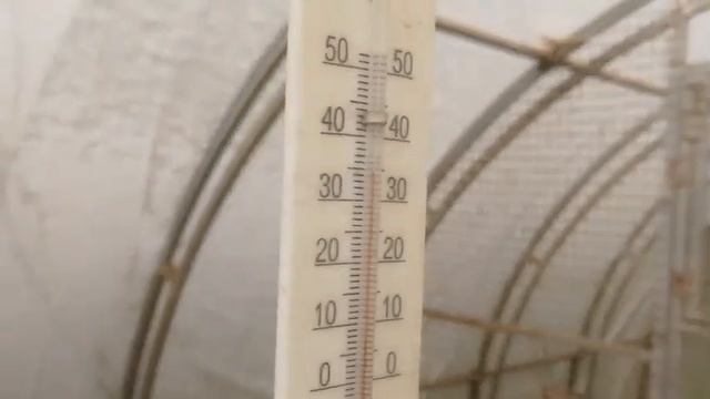 Теплица для кур. Летом в жару.