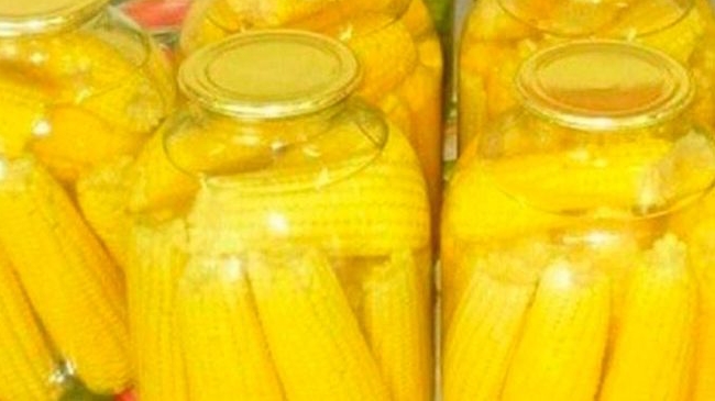 Кукуруза на зиму в початках.