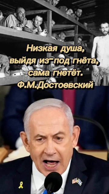 🇵🇸🕊️🇮🇱 Низкая душа, выйдя из-под гнёта, сама гнетёт. Красиво о войне рассуждают те, кто сам не воюет