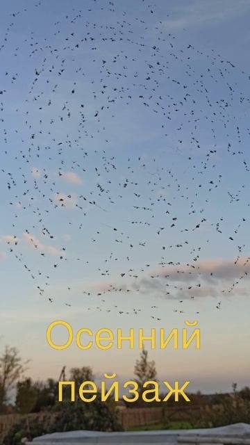 У осени свои рисунки