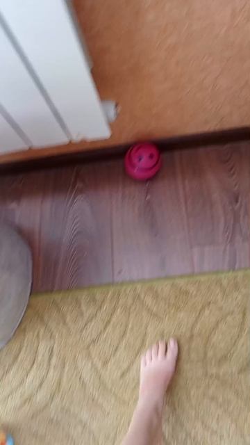 антистресс из grougarden roblox