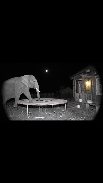 Вот что засняла камера видеонаблюдения в деревне ночью 😱