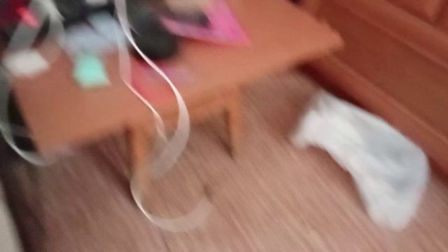 1000000209.mp4