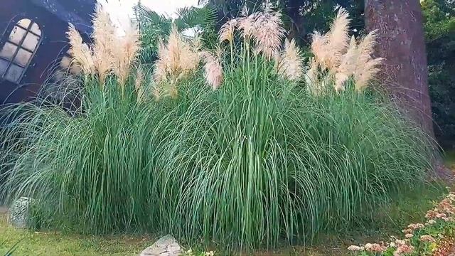 Парк Ривьера Сочи