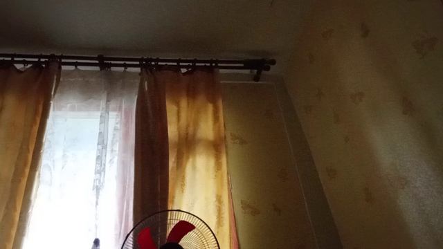 1000000291.mp4
