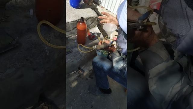 Варроатоз Обработка пчел бипином