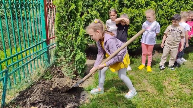 Акция Посади дерево