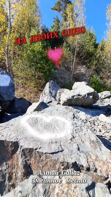 На двоих одно сердце...