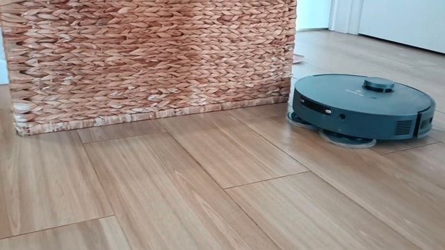 Приключения Элвиса с Зефиром и Шанталь . взаимоотношения роботов пылесосов..