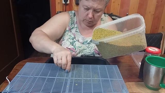 Просеивание цветочной пыльца #дача #пчёлы #витамины #п?