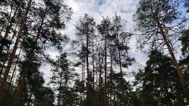 Ложные причины для того, чтобы не менять место работы