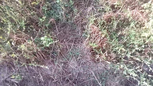 Вот что бывает когда пчёл перевозить по грязи . Застря?