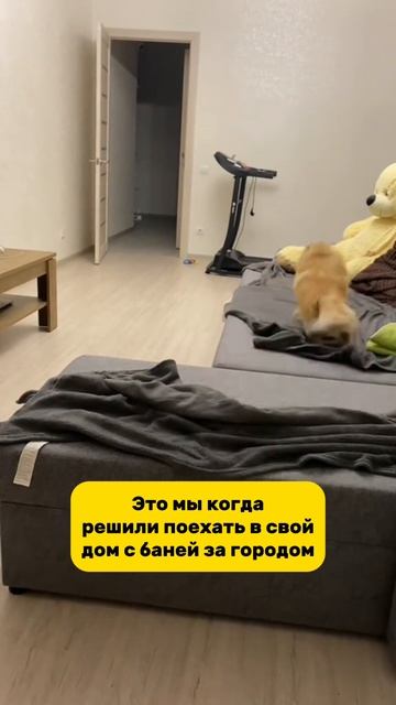 А у вас есть свой участок за городом?😉