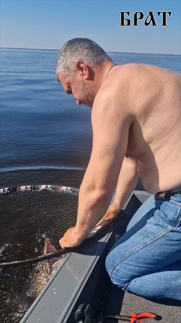 Поимали монстра!