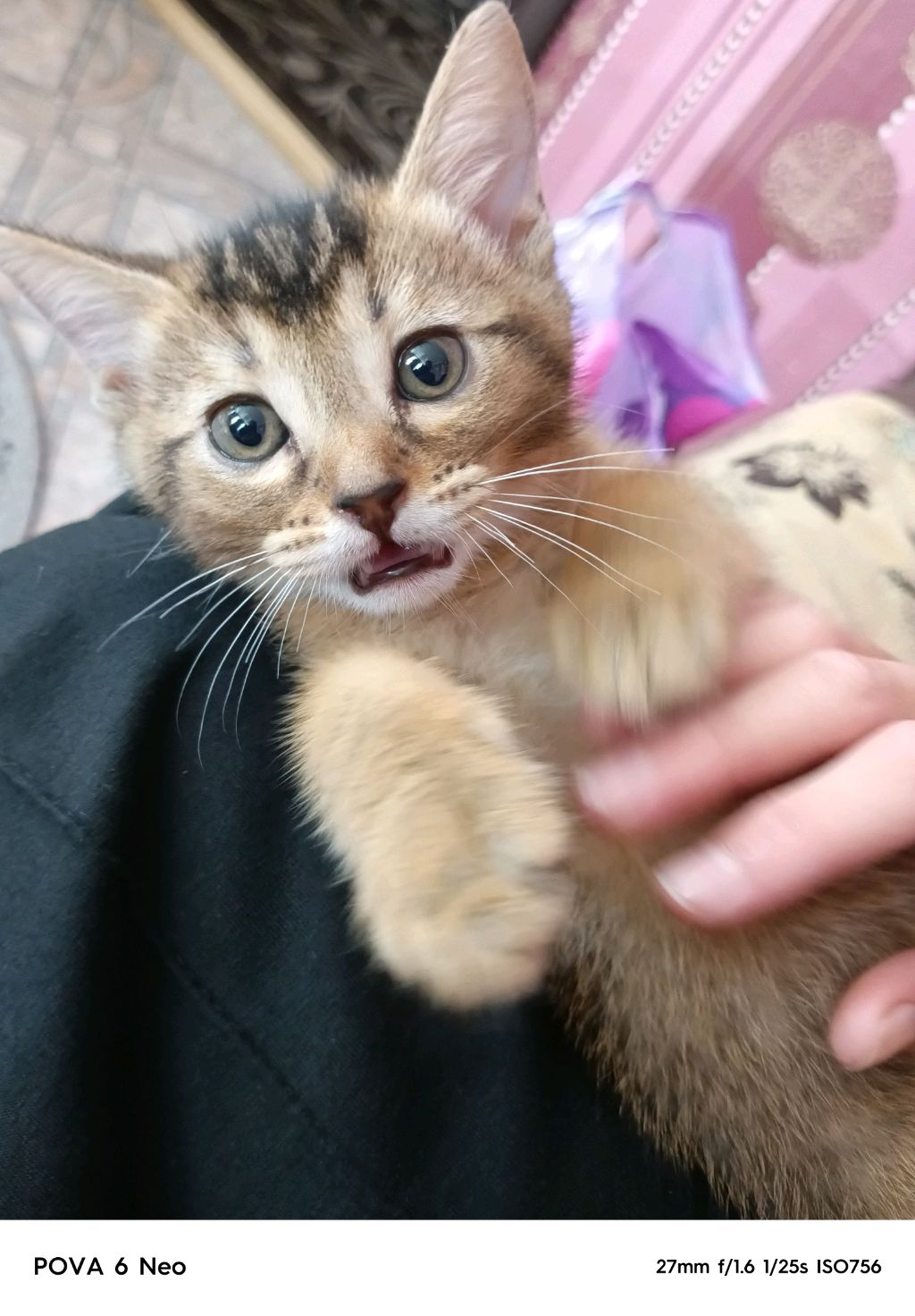 поднимаюсь с м его оружия до фула