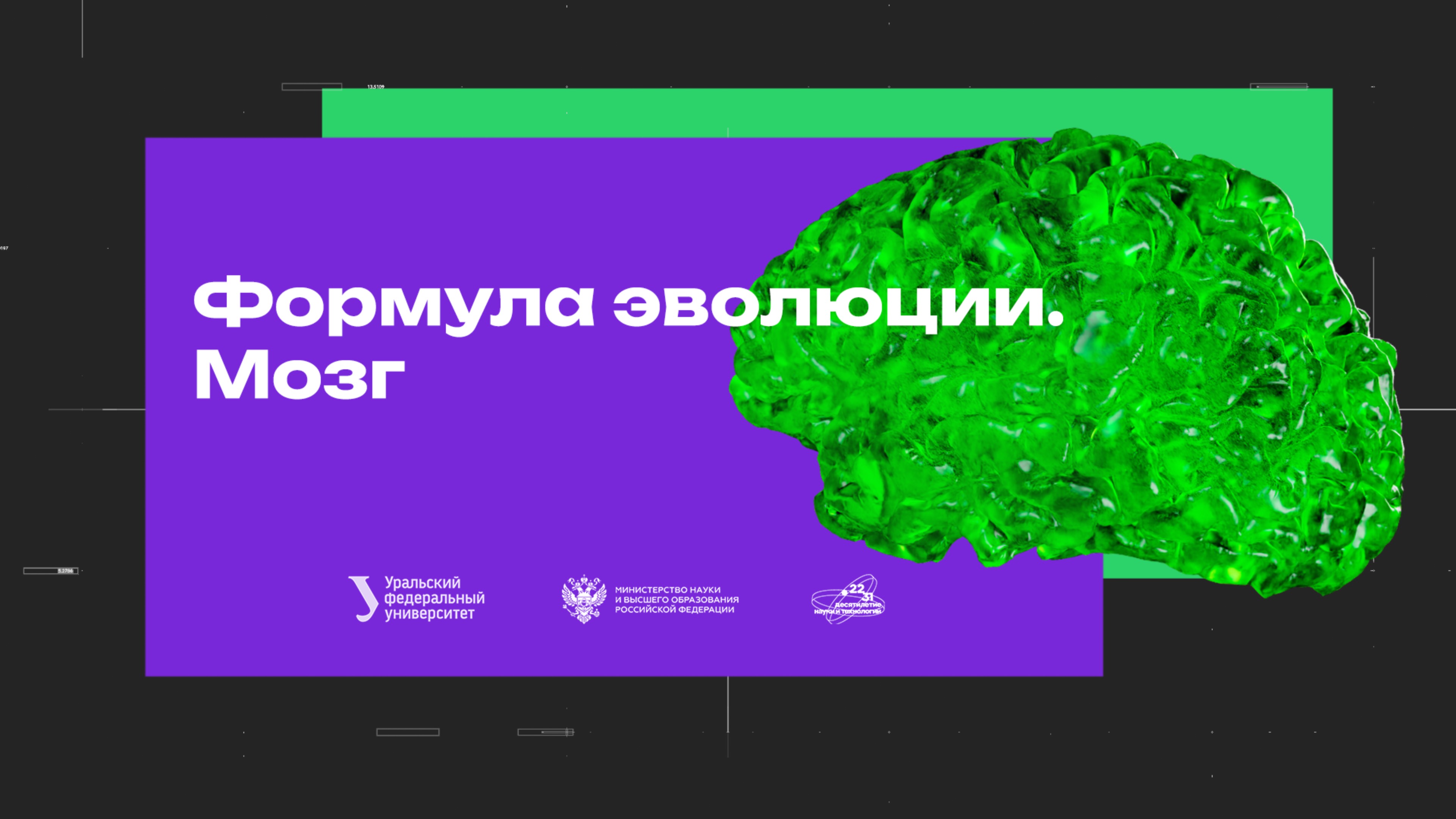 Формула эволюции. Мозг