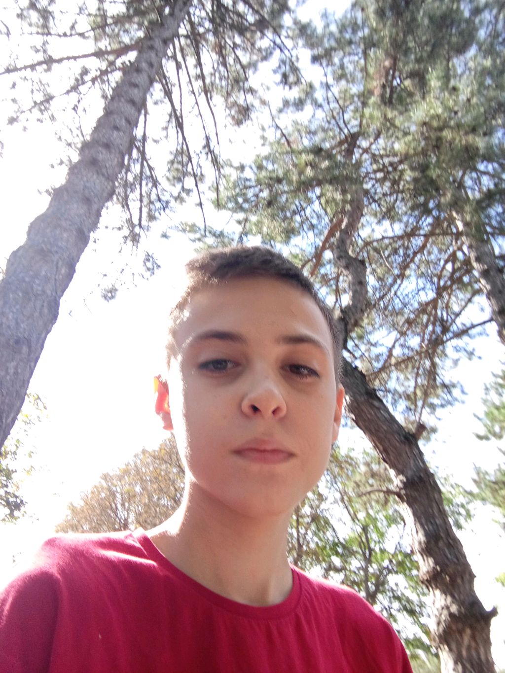 играем в Твистер
