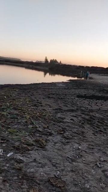 Река Двуречка обмелела. Это бывшее дно реки