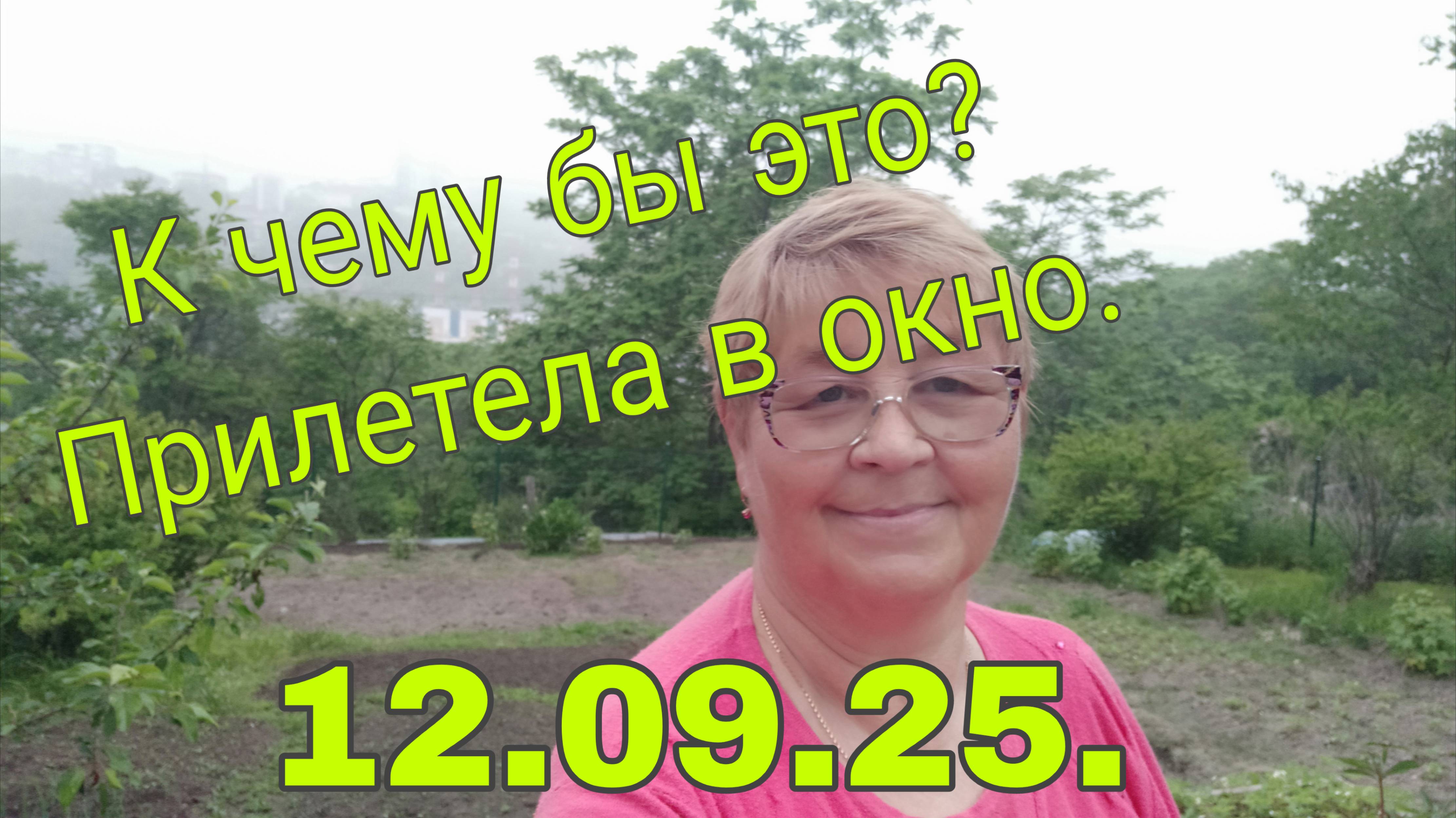 12. 09 .25 . К ЧЕМУ БЫ ЭТО? ПРИЛЕТЕЛА В ОКНО // ЦУКИНИ-ГОТОВЛЮ//