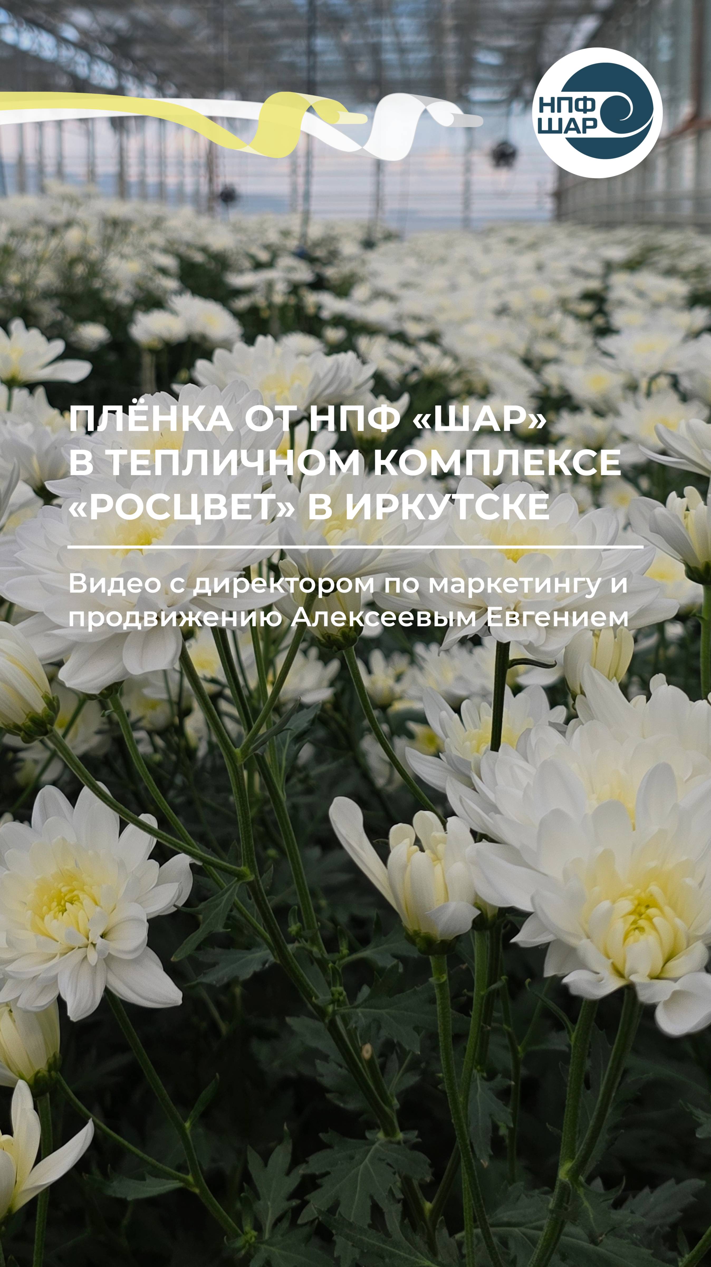 Опыт применения плёнок НПФ «Шар» в Иркутске! ⚒️🌤️