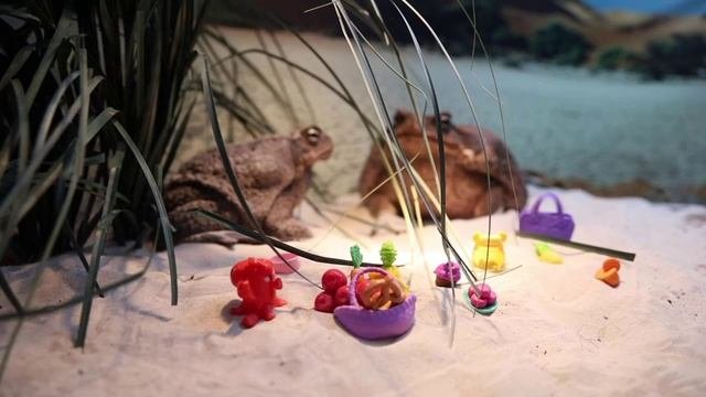Медовый месяц , 🐸 Настюша и Ванюша съездили на медовый месяц в путешествие