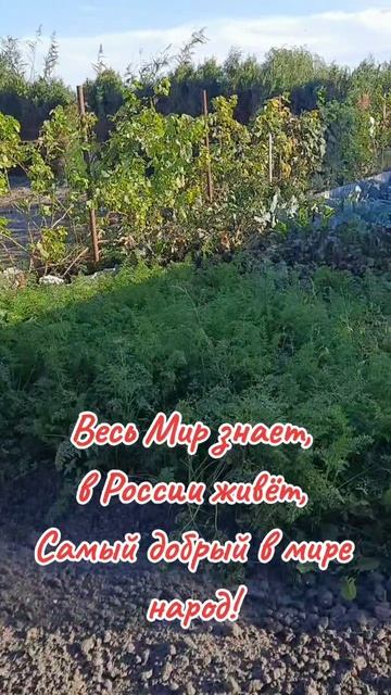 Жизнь пенсионера России!