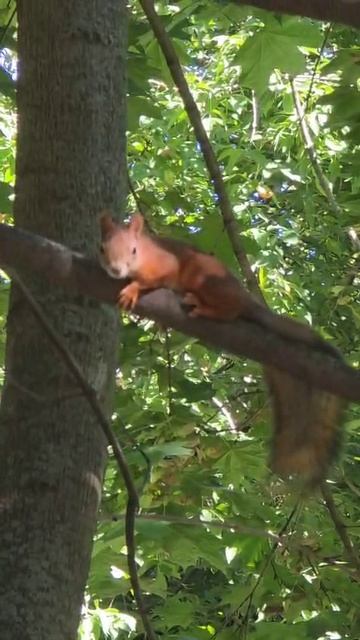 Кто еще не подписался на мой канал? Rutube или Yotube?