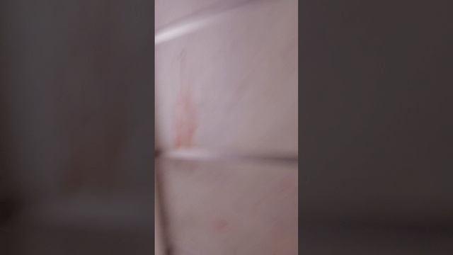тили-тили-бом пранк я смотрю до конца чтобы узнать правду