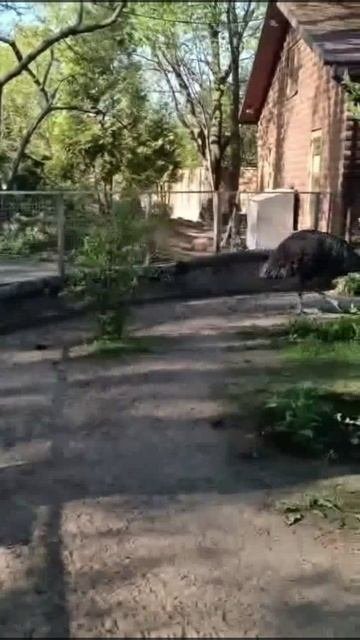 1000011593.mp4