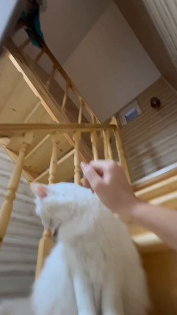 Ревность