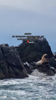 ✨ Камчатка — это земля вулканов, океана и дикой энергии природы 🌋🏔