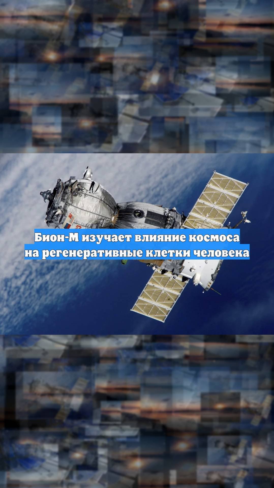 Бион-М изучает влияние космоса на регенеративные клетки человека