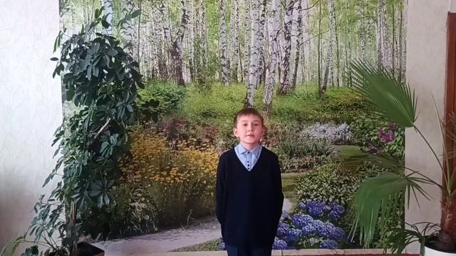В. Степанов 