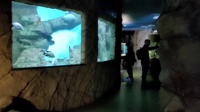 Поездка в Екатеринбург.