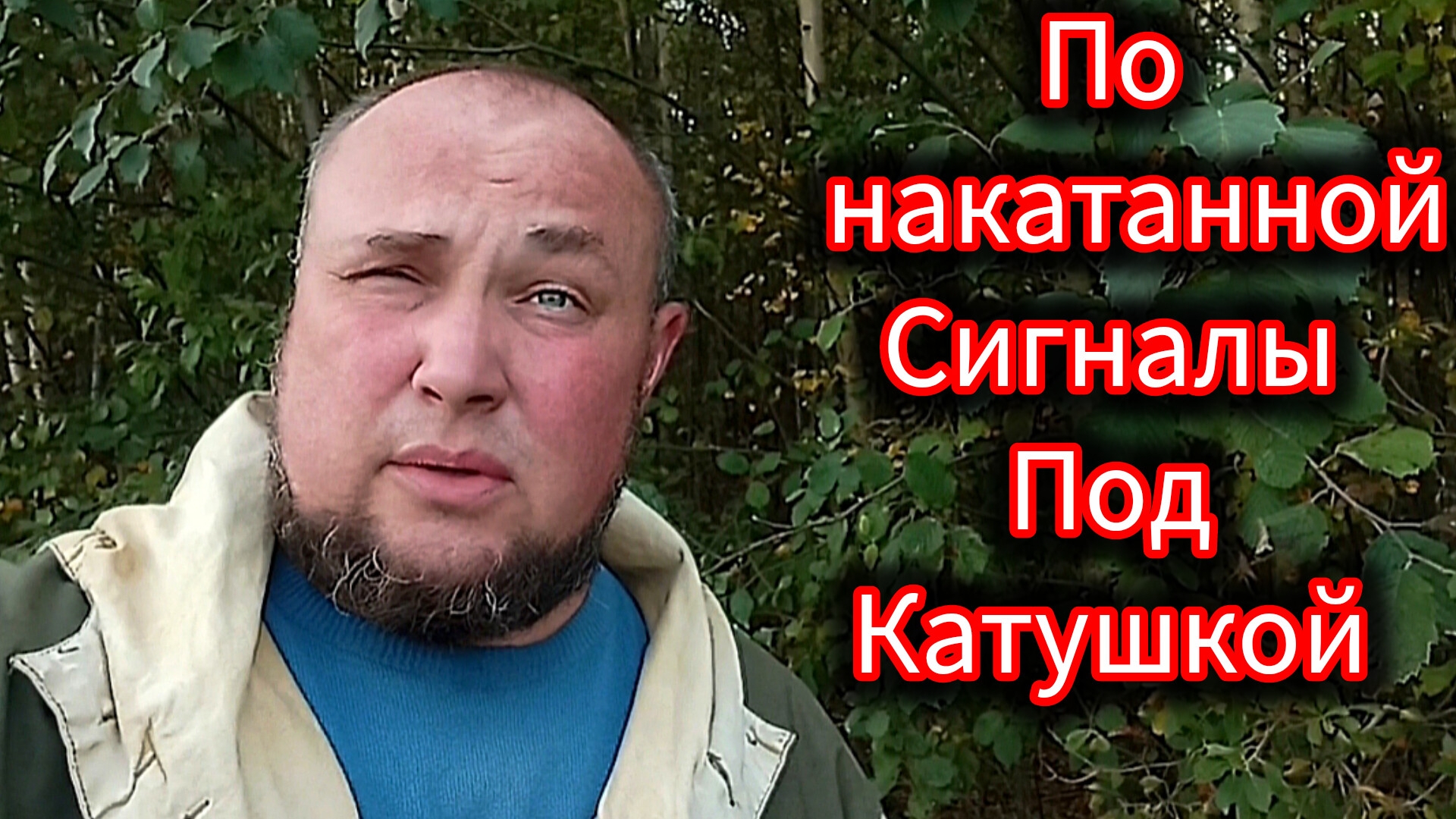 Сигналы под катушкой по накатанной:Nokta Triple Score