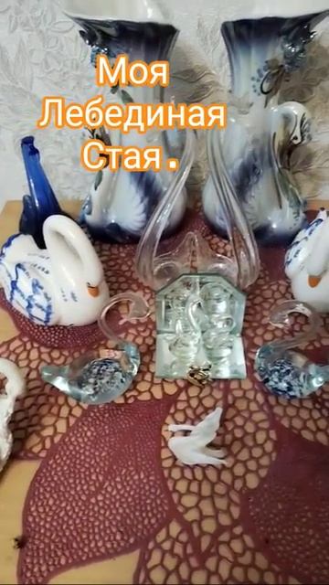 Моя лебединая стая. Прилетело ещё три.
