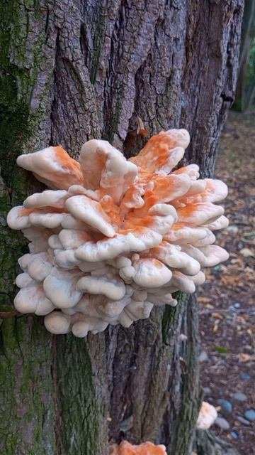 11.09.2025 #сегоднятак #природа #прырода #табиғ #自然 #natureza #natura #자연 #طبيعة #प्रकृति #nature