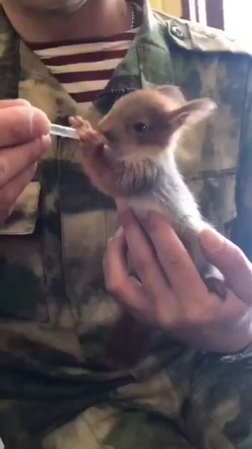 Большое и доброе сердце нашего воина💋🥰❤️