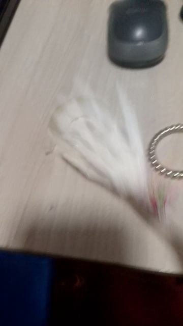 1000016186.mp4