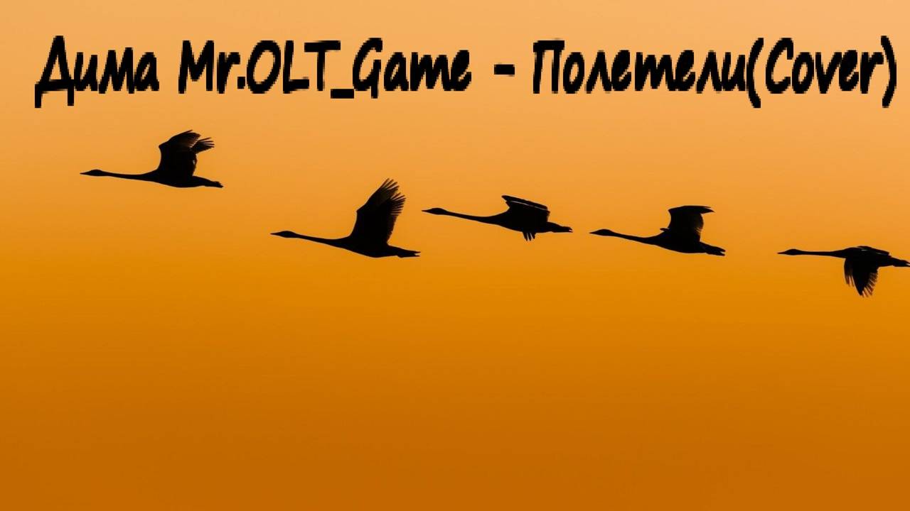 Дима Mr.OLT_Game - Полетели(Cover)