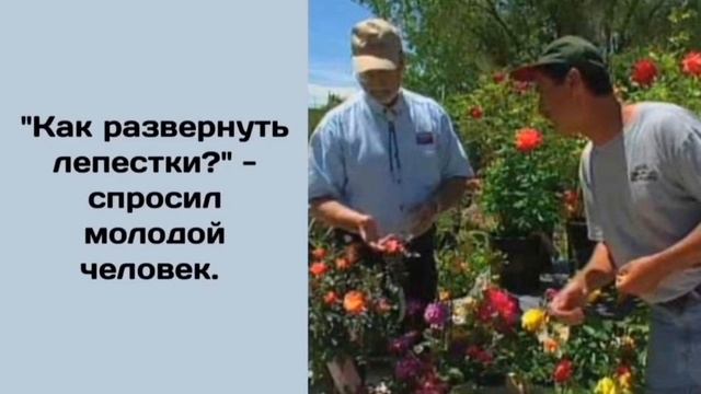 VID_20250912_224142_490.mp4