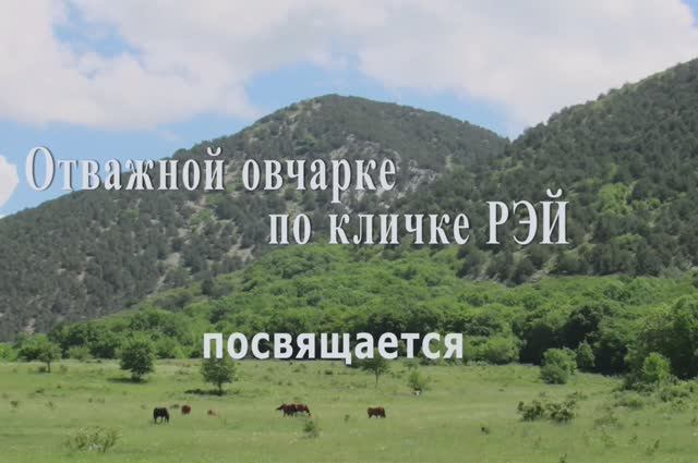 Каньон реки Узунджа. 01 июля 2025. Крым